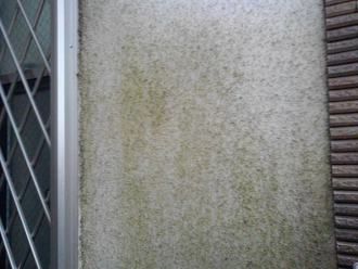 経年劣化によって藻が発生した外壁
